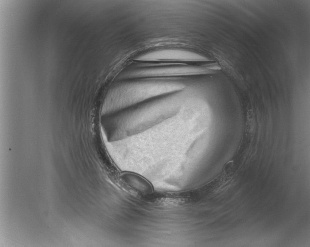 X0000079580255200612301414