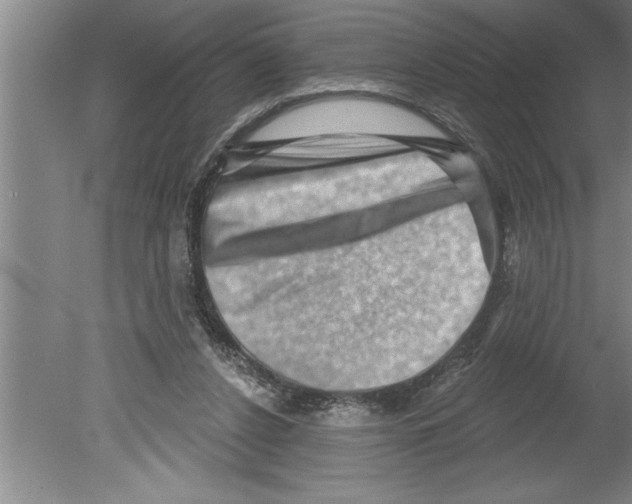 X0000079580256200612301414