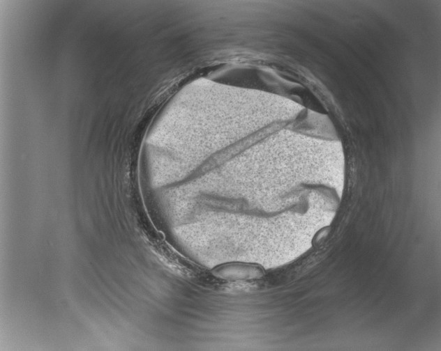 X0000079580257200612301414