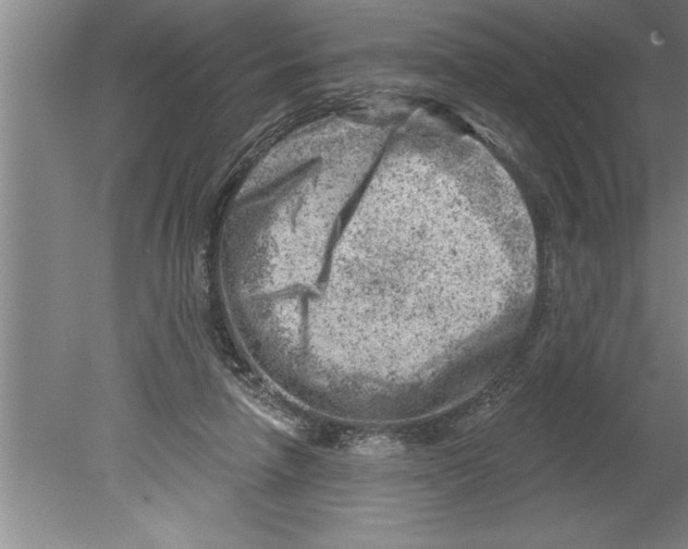 X0000079580258200612301414