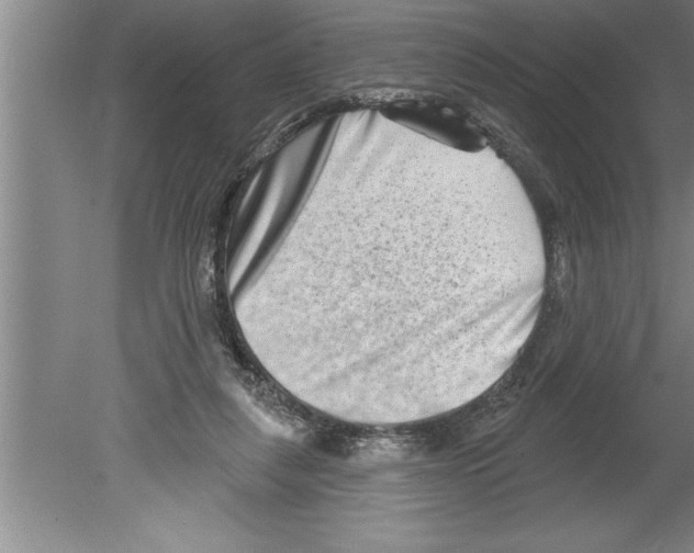 X0000079580259200612301414