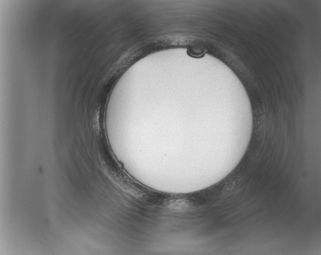 X0000079580262200612301414