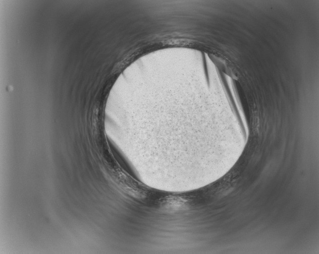 X0000079580263200612301414