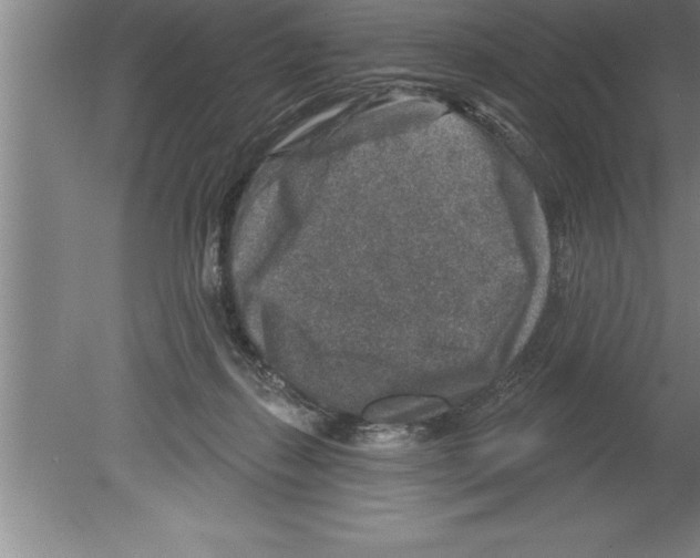 X0000079580267200612301414