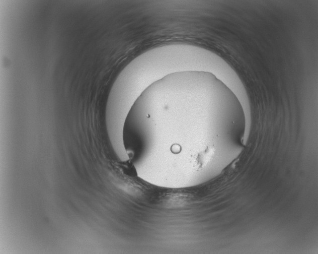 X0000079580268200612301414