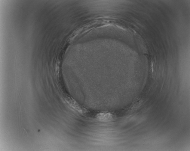 X0000079580271200612301414