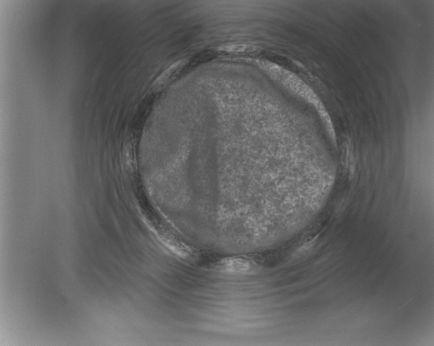 X0000079580272200612301414