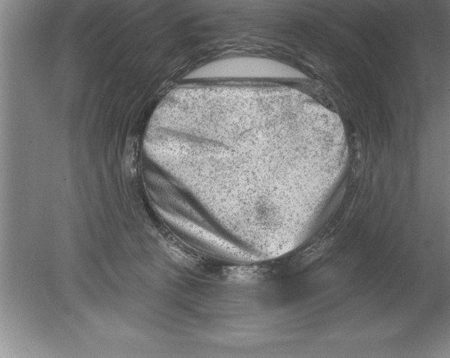 X0000079580273200612301414