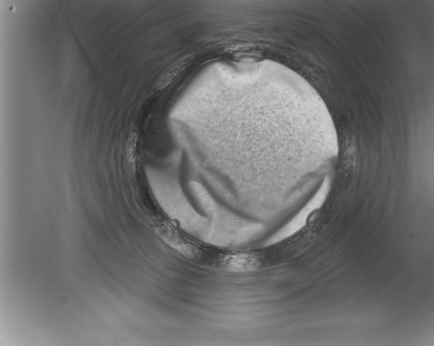 X0000079580275200612301414