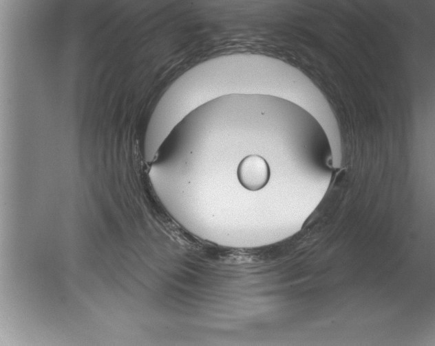 X0000079580276200612301414