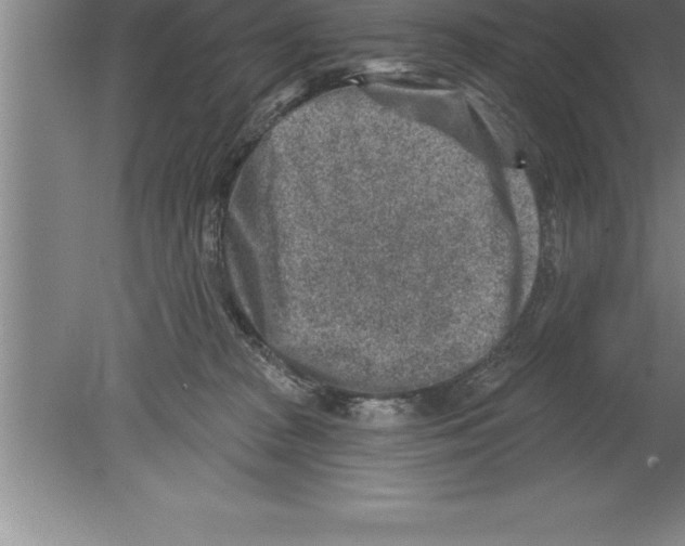 X0000079580277200612301414