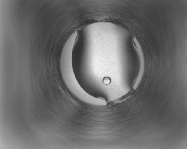 X0000079580280200612301414