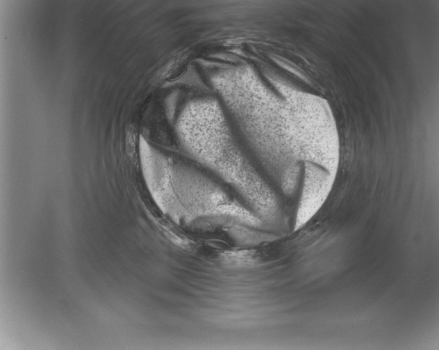 X0000079580281200612301414