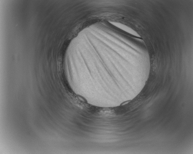 X0000079580283200612301414