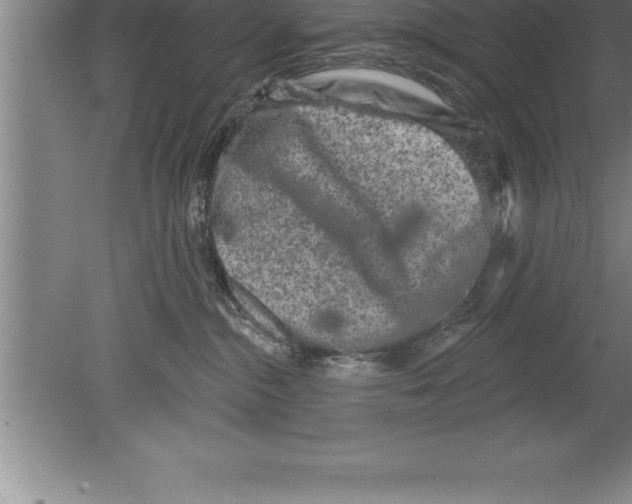 X0000079580284200612301415