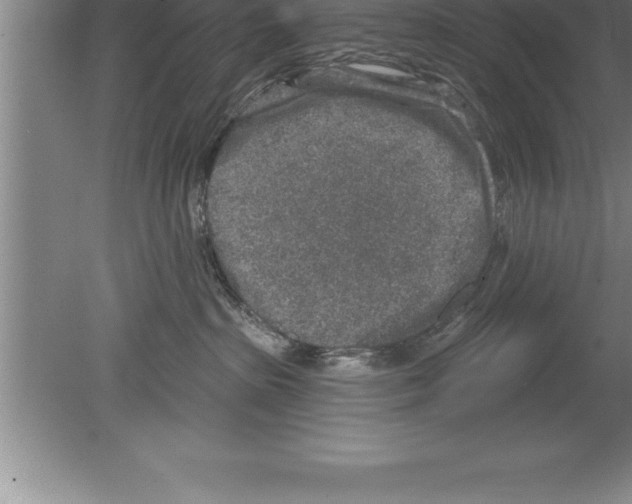 X0000079580285200612301415