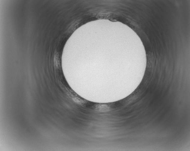 X0000079580287200612301415