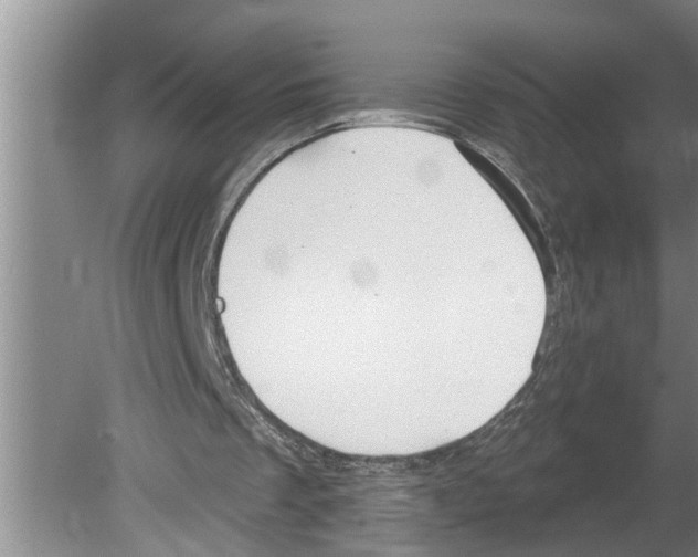 X0000079580289200612301414