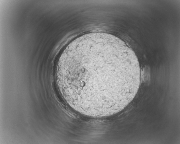 X0000079580291200612301414