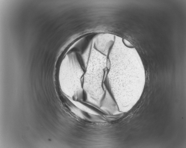 X0000079580292200612301414