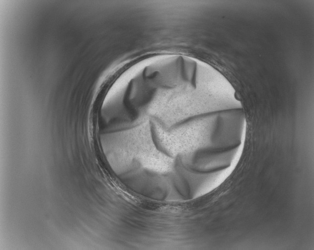 X0000079580294200612301414