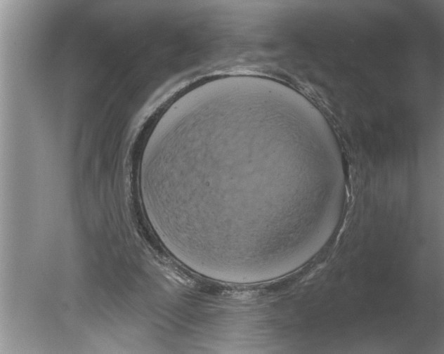 X0000079580295200612301414