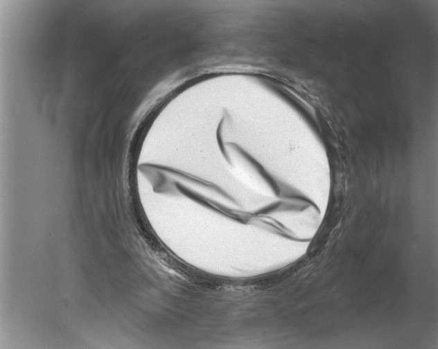 X0000079580296200612301414