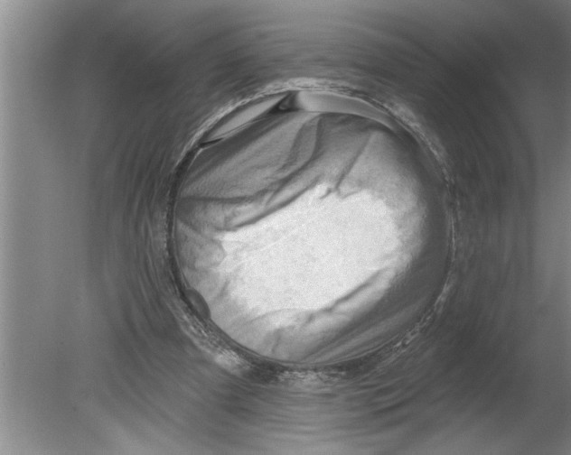 X0000079580297200612301414