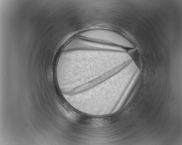 X0000079580298200612301414