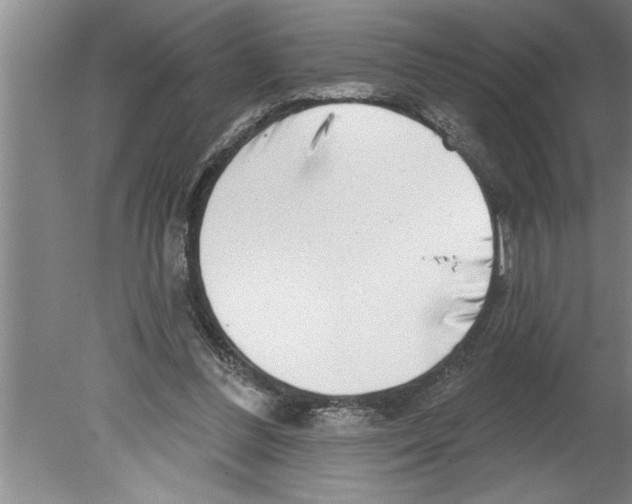 X0000079580300200612301414