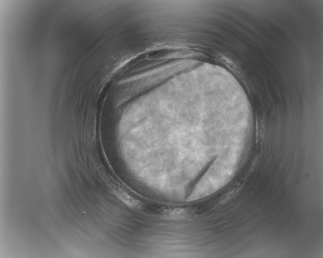 X0000079580301200612301414