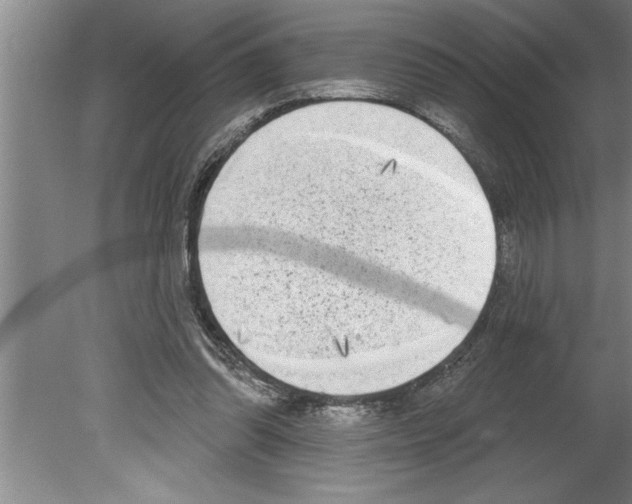 X0000079580302200612301414