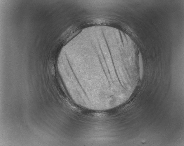 X0000079580313200612301413