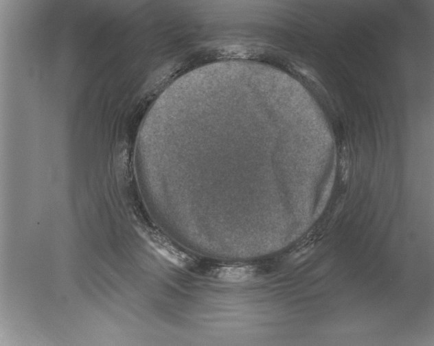 X0000079580314200612301413