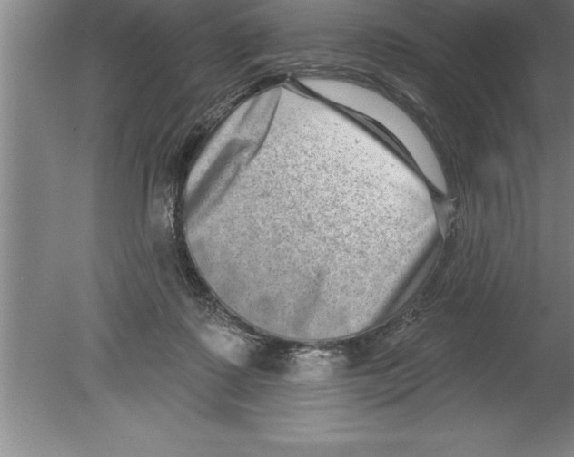 X0000079580315200612301413