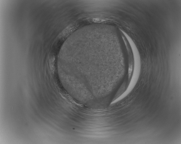 X0000079580319200612301413