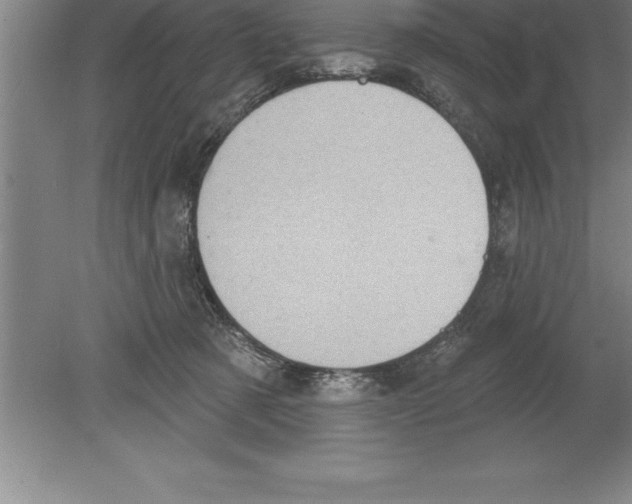 X0000079580321200612301413