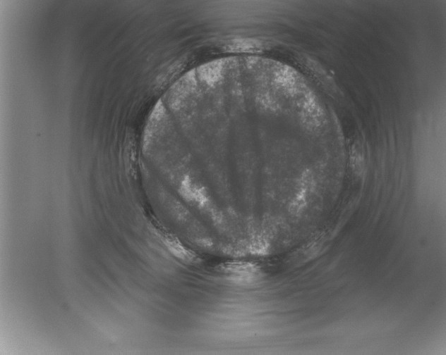 X0000079580322200612301413