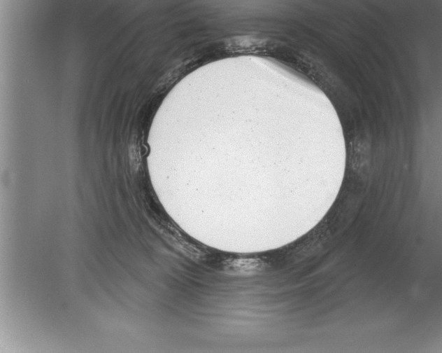 X0000079580324200612301413