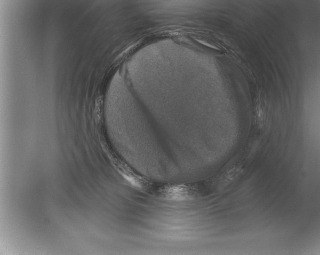 X0000079580325200612301413