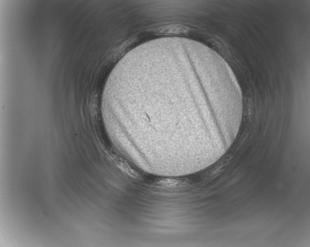 X0000079580326200612301413