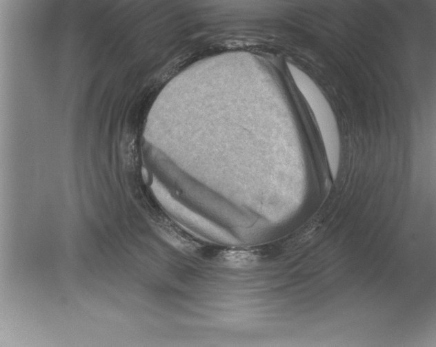 X0000079580327200612301413