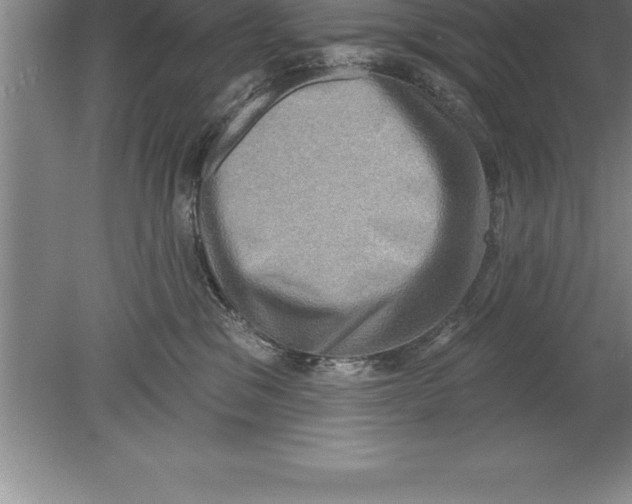 X0000079580329200612301413