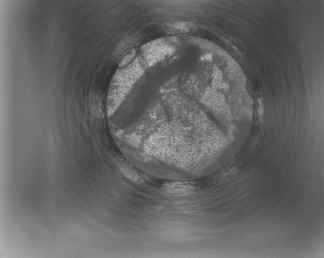 X0000079580331200612301413