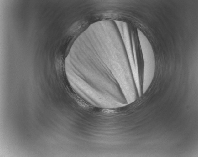 X0000079580333200612301413