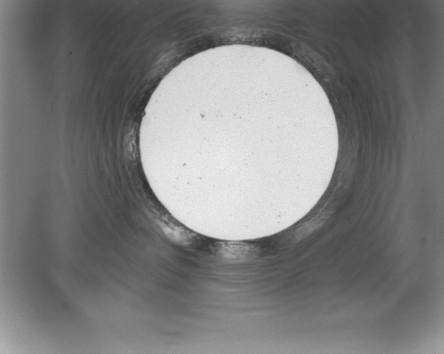 X0000079580336200612301413