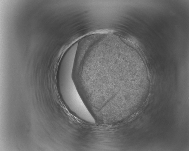 X0000079580337200612301412