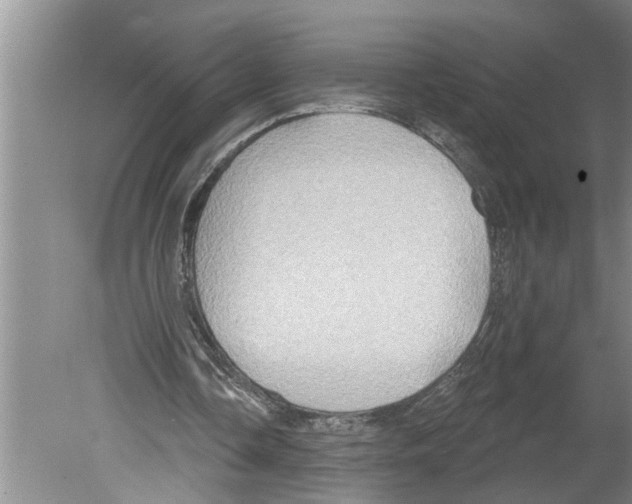 X0000079580338200612301412