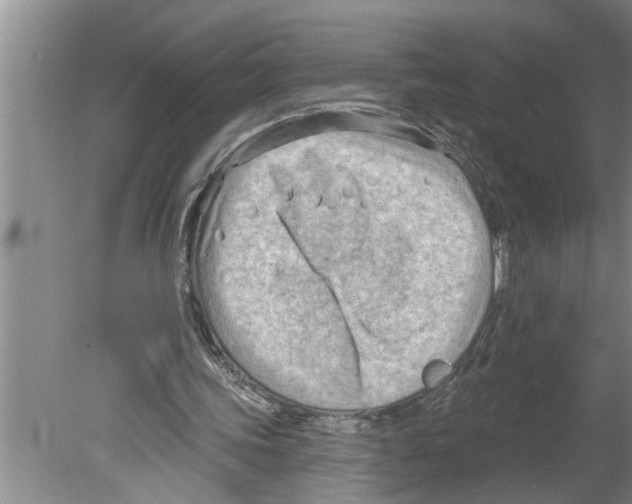 X0000079580339200612301412