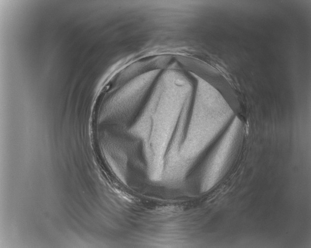 X0000079580340200612301412